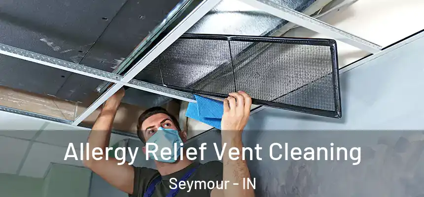  Allergy Relief Vent Cleaning Seymour - IN