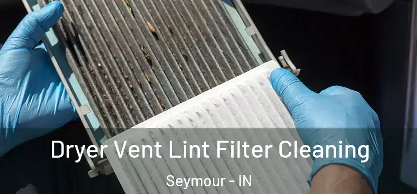  Dryer Vent Lint Filter Cleaning Seymour - IN