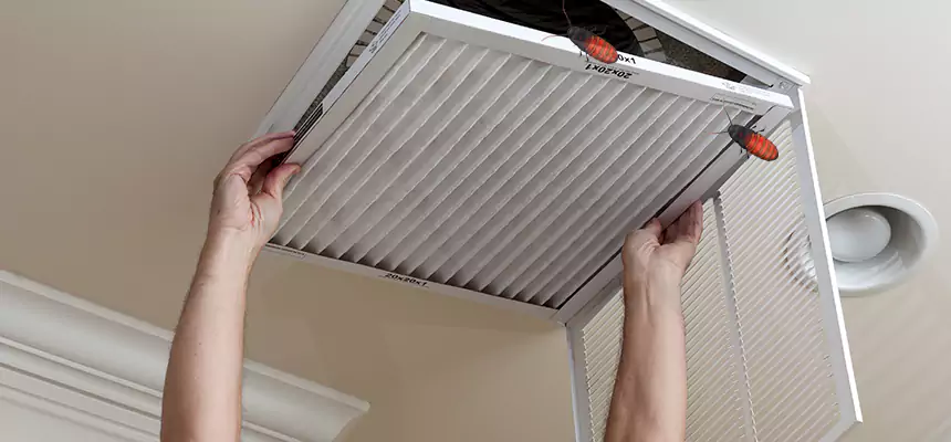 Preventive Cockroach-Proofing for Ducts in Seymour
