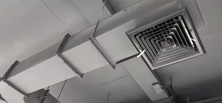 Restorative Allergy Relief Vent Cleaning – Coil, Blower & Housing Detail in Seymour