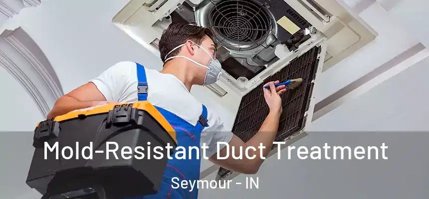  Mold-Resistant Duct Treatment Seymour - IN
