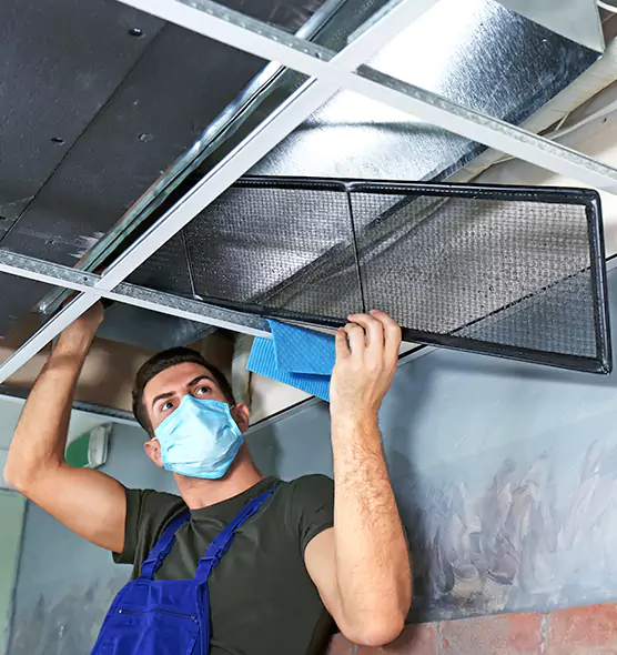 About Air Duct Bacteria Removal in Seymour