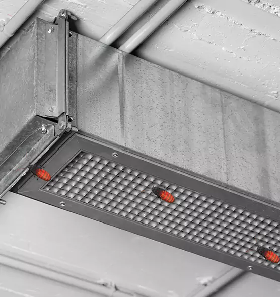 About Air Duct Cockroach Removal in Seymour, IN