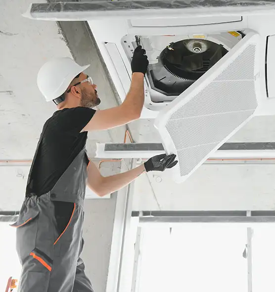 About Air Duct Rodent Removal in Seymour, IN