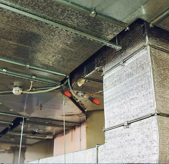 Why Homeowners & Businesses Trust Us in Seymour, IN?