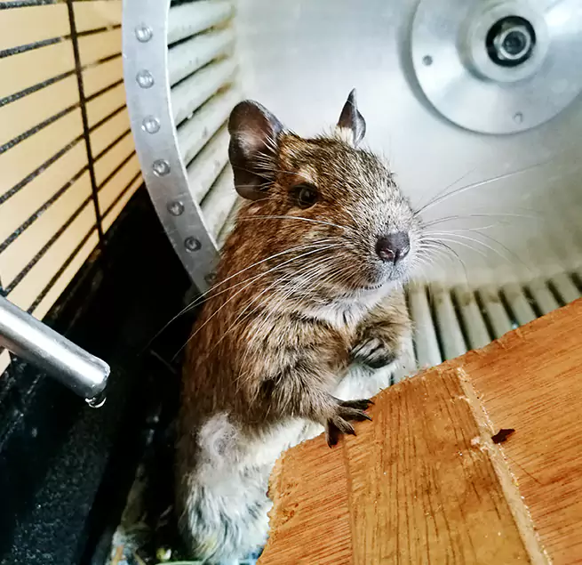 Why Homeowners & Businesses Trust Us Seymour, IN